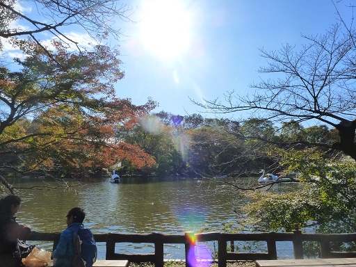 デートにお散歩に(^_-)-☆秋晴れ井の頭公園は大人気♪.jpg
